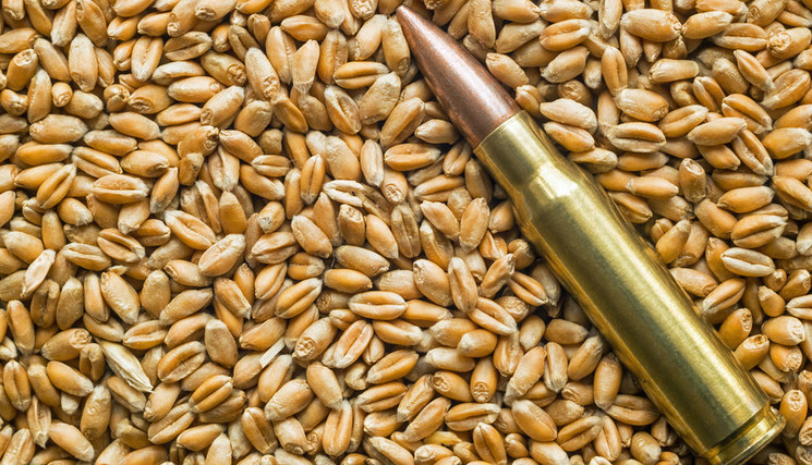 Crise alimentaire potentielle causée par les tensions géopolitiques actuelles.