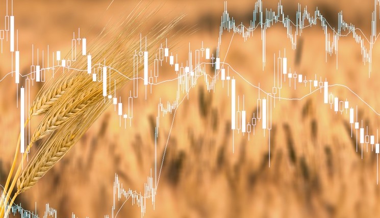 Blé doré avec tableau sur champ agricole. Par BillionPhotos.com