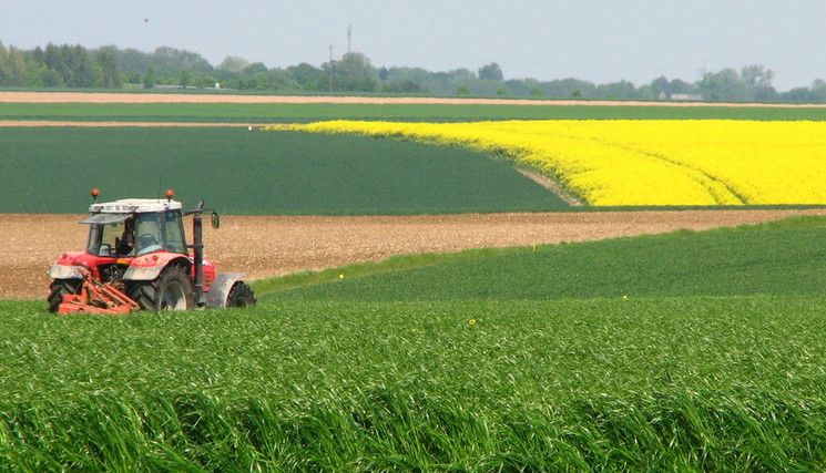 Plan national « Agir pour restaurer la nature », présenté le 14 octobre par la ministre de la Transition écologique.