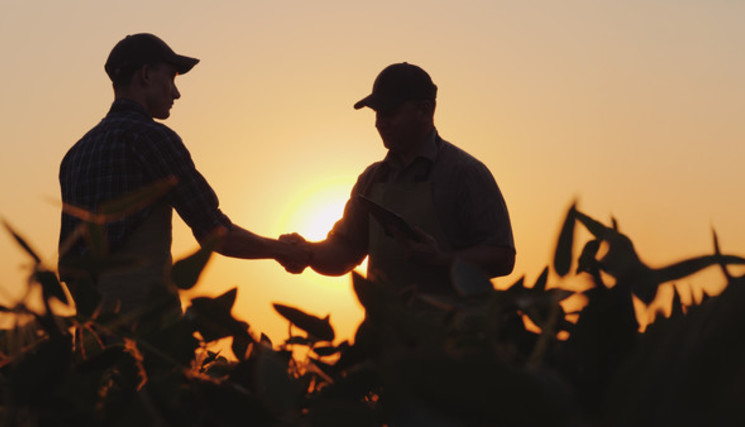 Silhouettes de deux fermiers dans un champ se serrant la main en signe d’un accord réussi