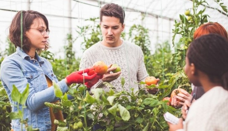 Enseignement agricole : premières interventions d’experts associés dans les lycées et exploitations de l’enseignement agricole.