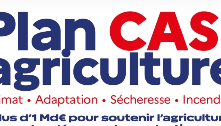 Plan d’aide CASI.