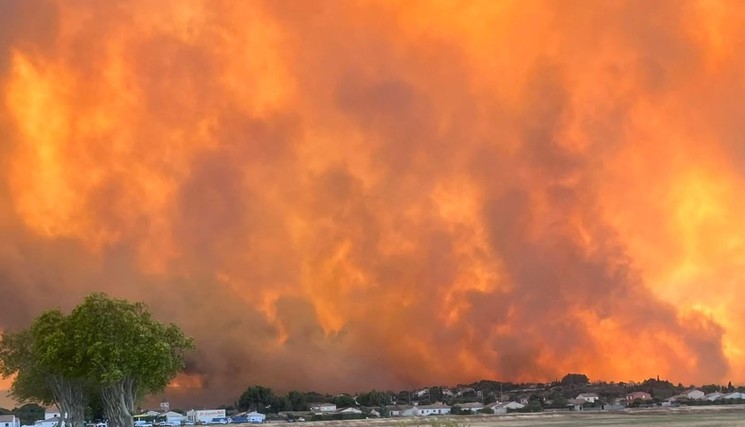 Forêts de Gironde et des Landes : un arrêté pour accélérer la sécurisation.