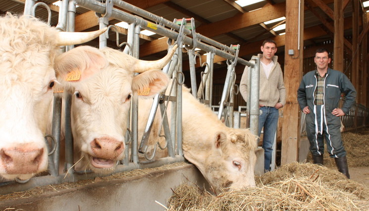 L’avantage fiscal et social relatif aux stocks de vaches effectif, et rétroactif à 2024.
