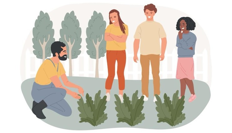 Le ministère de l’Agriculture a publié le 23 octobre ses chiffres provisoires : près de 221 000 élèves, étudiants et apprentis sont formés en 2025-2026. Le ministère de l’Agriculture a publié le 23 octobre ses chiffres provisoires : près de 221 000 élèves, étudiants et apprentis sont formés en 2025-2026.