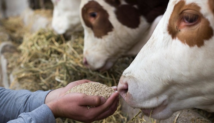13ème convention annuelle sur le thème : «En avant pour une souveraineté durable de l’élevage européen !»
