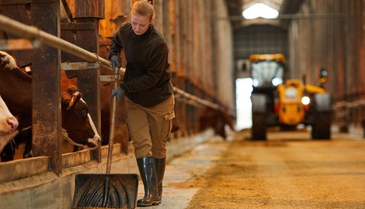 Dernière publication Infostat de la Mutualité sociale agricole (MSA) dresse un panorama de leur situation en 2024.