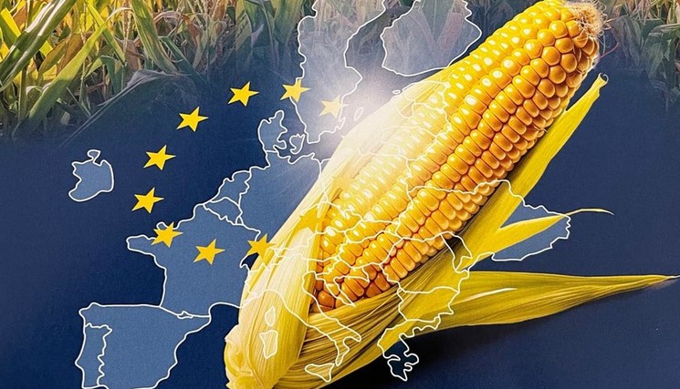 Les craintes de l’AGMP sur un élargissement à l’Ukraine.