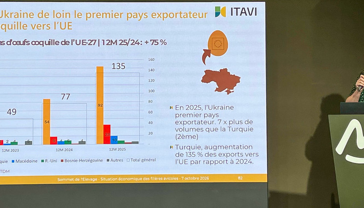 SOMMET : Situation économique des filières avicoles. 7 octobre 2026