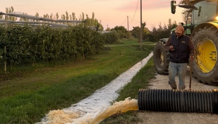 Évacuation des eaux sur l'exploitation. Crédit : Lugdivine Mannoni