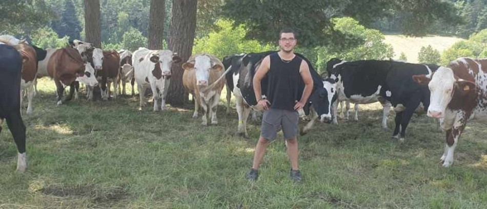 Antoine Sauret avec ses vaches laitières. 