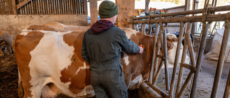 Comprendre la situation sanitaire, les mesures et leurs enjeux.