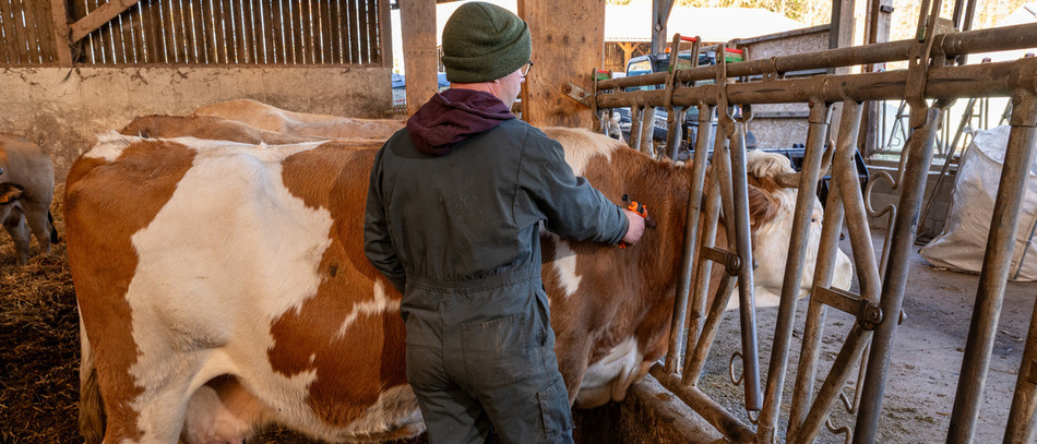 Jeunes Agriculteurs, la FNSEA, la FNB et la FNPL sont favorables au maintien de l’immunité vaccinale pour toutes les zones.