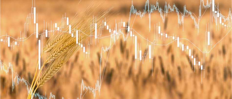 Blé doré avec tableau sur champ agricole. Par BillionPhotos.com