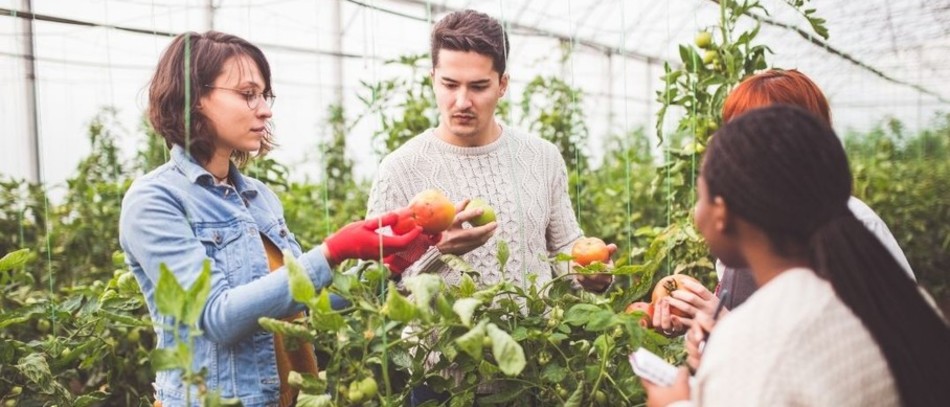 Enseignement agricole : premières interventions d’experts associés dans les lycées et exploitations de l’enseignement agricole.