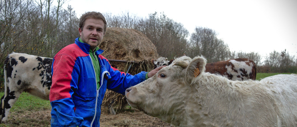 Thibaut Giraud caresse une vache, dans un pré.