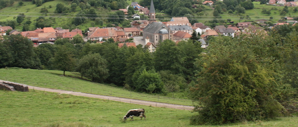 Colloque sur le 80e anniversaire de la loi sur le statut du fermage.