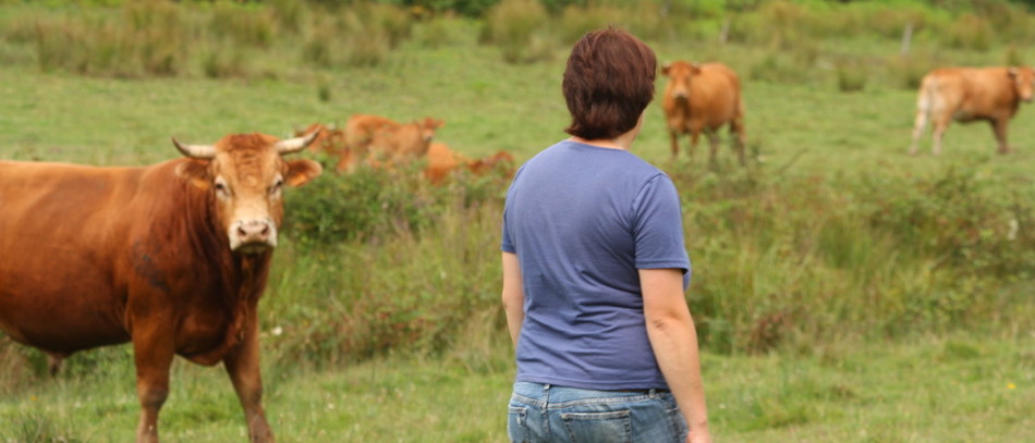 Une éleveuse dans un champ, de dos, avec ses vaches.