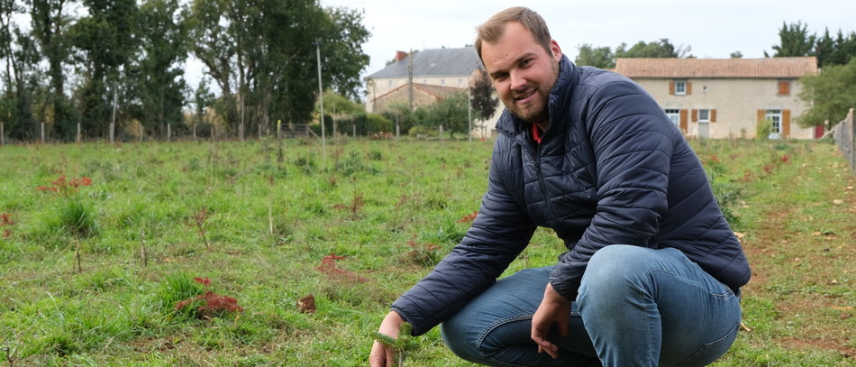 Romain Provost. Crédit : Clémentine Vignon