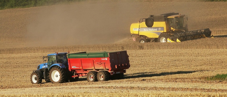 Moisson 2021 : des estimations de production de blé en forte hausse