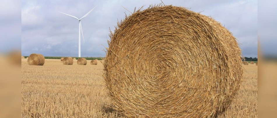COMMUNIQUE DE PRESSE CONJOINT FRANCEAGRIMER/ARVALIS/TERRES INOVIA : QUALITÉ DE LA RÉCOLTE 2025 DES CÉRÉALES À PAILLE, COLZA ET PROTÉAGINEUX 