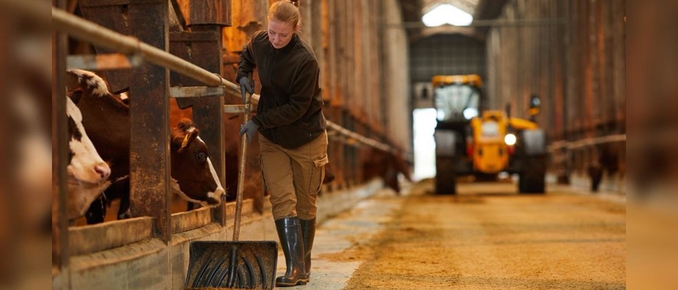 Dernière publication Infostat de la Mutualité sociale agricole (MSA) dresse un panorama de leur situation en 2024.