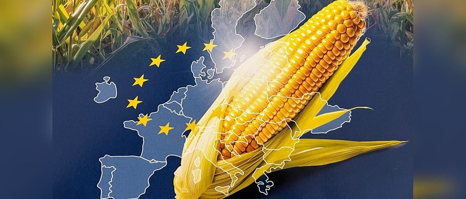 Les craintes de l’AGMP sur un élargissement à l’Ukraine.