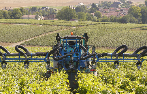 Machine agricole dans les vignes.