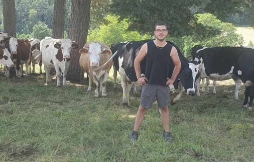 Antoine Sauret avec ses vaches laitières. 