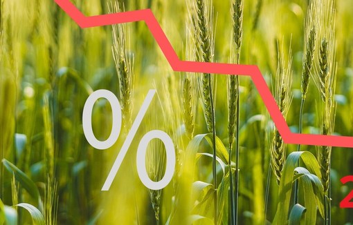 Le résultat de la branche agricole est en net recul en 2023. 