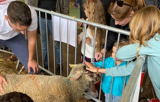 Lors de la Foire Expo, petits et grands ont pu interagir avec les animaux de la ferme.