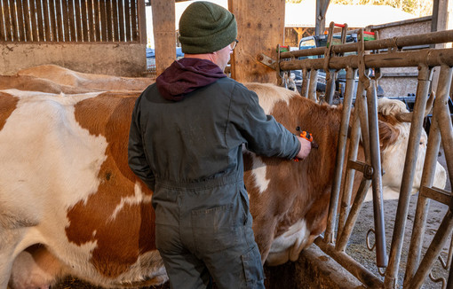 Comprendre la situation sanitaire, les mesures et leurs enjeux.