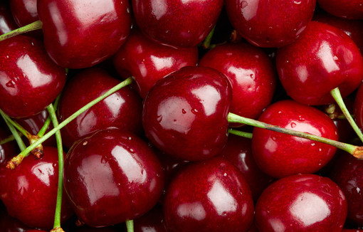 En 2025, la hausse attendue de la production de cerise se confirme