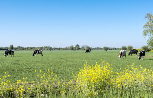 La stratégie « De la ferme à la table » adoptée par le Parlement 