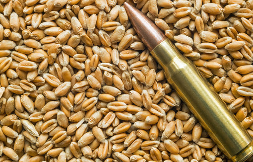 Crise alimentaire potentielle causée par les tensions géopolitiques actuelles.