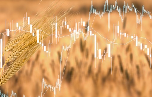 Blé doré avec tableau sur champ agricole. Par BillionPhotos.com