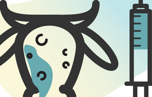 DNC - Illustration vaccination vache.