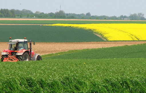 Plan national « Agir pour restaurer la nature », présenté le 14 octobre par la ministre de la Transition écologique.