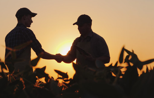 Silhouettes de deux fermiers dans un champ se serrant la main en signe d’un accord réussi