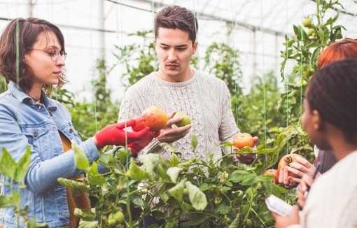 Enseignement agricole : premières interventions d’experts associés dans les lycées et exploitations de l’enseignement agricole.