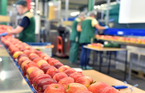 La chaîne agro-alimentaire assure malgré le contexte sanitaire