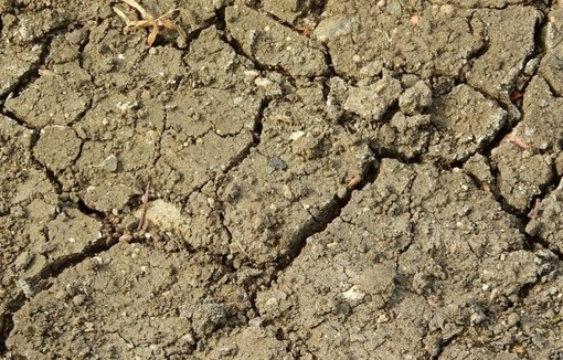 COMMUNIQUÉ DE PRESSE - MINISTÈRE DE L'AGRICULTURE, DE L'AGRO-ALIMENTAIRE ET DE LA SOUVERAINETÉ ALIMENTAIRE.