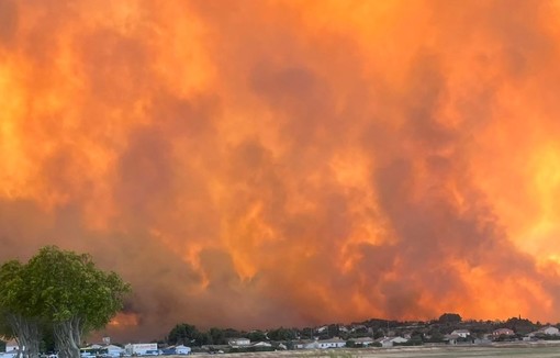 Forêts de Gironde et des Landes : un arrêté pour accélérer la sécurisation.