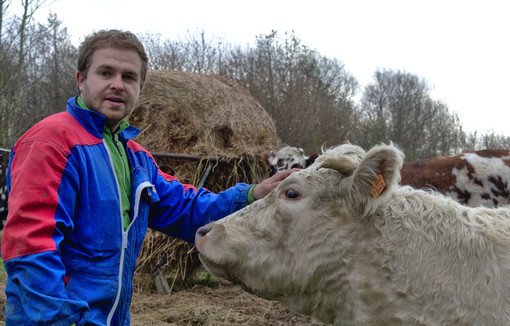 Thibaut Giraud caresse une vache, dans un pré.