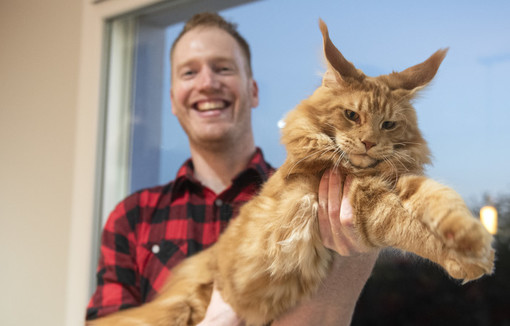 Pierre portant un grand mâle Maine Coon.