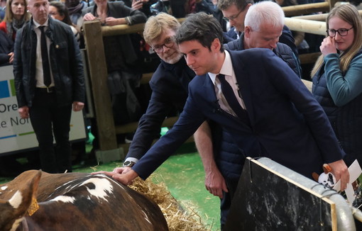 Gabriel Attal et Marc Fesneau sont allés à la rencontre de la vache égérie du salon. 