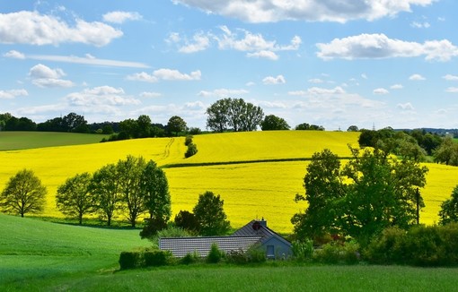 Paysage agricole