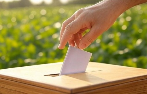 Les électeurs ont jusqu'au 31 janvier à minuit pour voter. 
