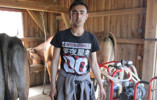 Adeel dans la salle de traite. Le lait sera porté dans la fromagerie