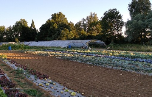 La bio monte au créneau, le gouvernement se défend  